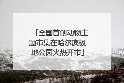 全国首创动物主题市集在哈尔滨极地公园火热开市