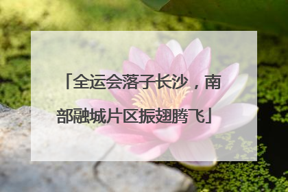 全运会落子长沙，南部融城片区振翅腾飞
