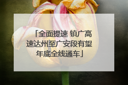 全面提速 镇广高速达州至广安段有望年底全线通车