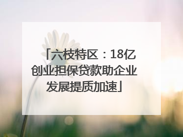 六枝特区：18亿创业担保贷款助企业发展提质加速