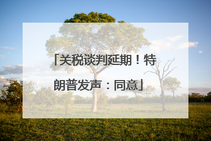 关税谈判延期！特朗普发声：同意