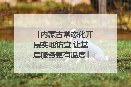 内蒙古常态化开展实地访查 让基层服务更有温度