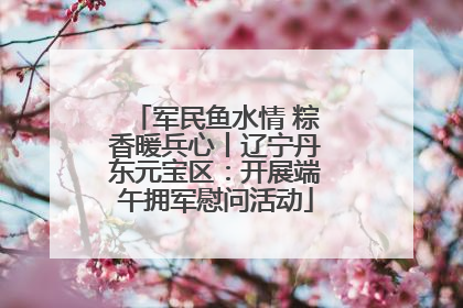 军民鱼水情 粽香暖兵心丨辽宁丹东元宝区：开展端午拥军慰问活动