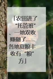 农田进了“托管班”、一地双收赚翻了……各地夏粮丰收有“粮”方