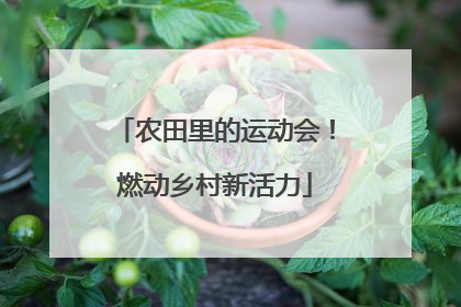 农田里的运动会！燃动乡村新活力
