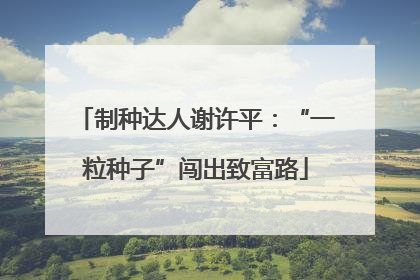 制种达人谢许平：“一粒种子”闯出致富路