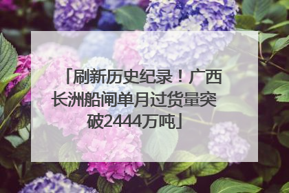 刷新历史纪录！广西长洲船闸单月过货量突破2444万吨