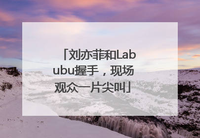 刘亦菲和Labubu握手，现场观众一片尖叫
