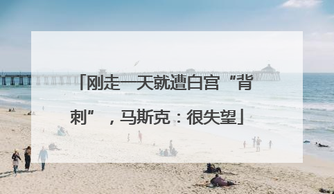 刚走一天就遭白宫“背刺”，马斯克：很失望