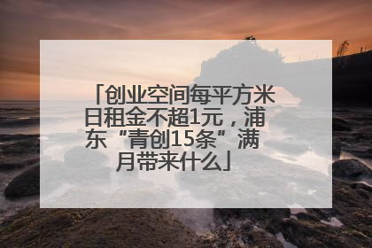 创业空间每平方米日租金不超1元，浦东“青创15条”满月带来什么