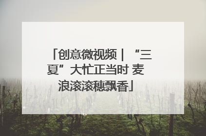 创意微视频｜“三夏”大忙正当时 麦浪滚滚穗飘香