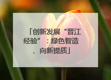 创新发展“晋江经验”：绿色智造、向新提质