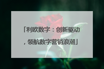 利欧数字：创新驱动，领航数字营销浪潮
