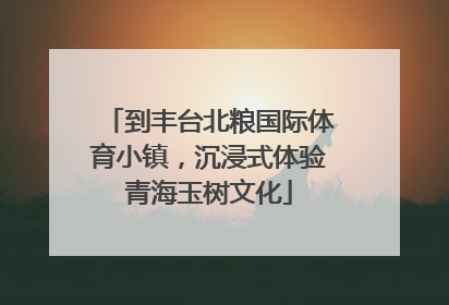 到丰台北粮国际体育小镇，沉浸式体验青海玉树文化