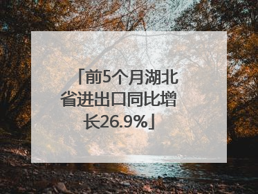前5个月湖北省进出口同比增长26.9%