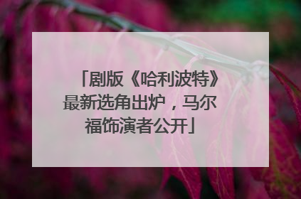 剧版《哈利波特》最新选角出炉，马尔福饰演者公开
