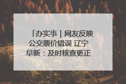 办实事｜网友反映公交票价错误 辽宁阜新：及时核查更正 加强实时巡检