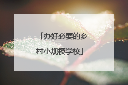 办好必要的乡村小规模学校