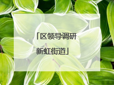 区领导调研新虹街道