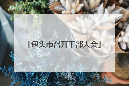 包头市召开干部大会