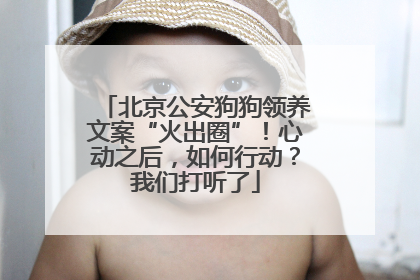 北京公安狗狗领养文案“火出圈”！心动之后，如何行动？我们打听了