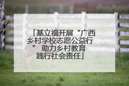 基立福开展“广西乡村学校志愿公益行” 助力乡村教育 践行社会责任