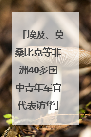埃及、莫桑比克等非洲40多国中青年军官代表访华