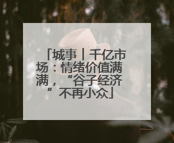 城事︱千亿市场：情绪价值满满，“谷子经济”不再小众