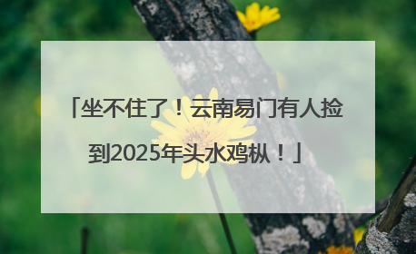 坐不住了！云南易门有人捡到2025年头水鸡枞！