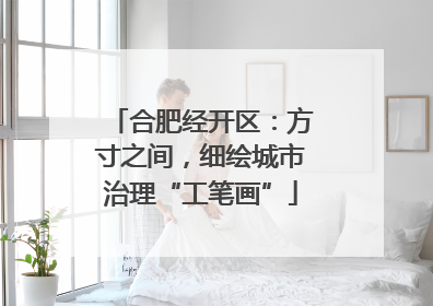 合肥经开区：方寸之间，细绘城市治理“工笔画”