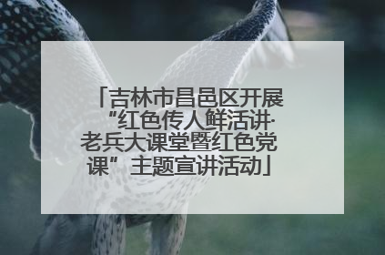 吉林市昌邑区开展“红色传人鲜活讲·老兵大课堂暨红色党课”主题宣讲活动