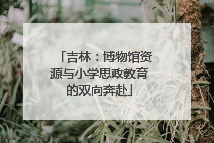 吉林：博物馆资源与小学思政教育的双向奔赴