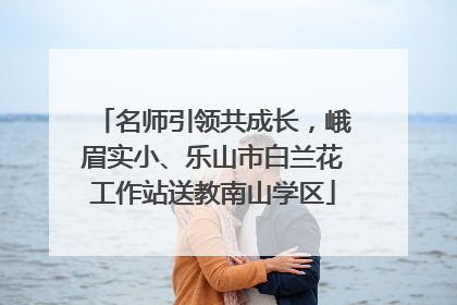 名师引领共成长，峨眉实小、乐山市白兰花工作站送教南山学区