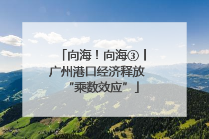 向海！向海③丨广州港口经济释放“乘数效应”