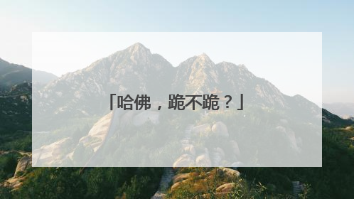 哈佛，跪不跪？