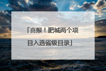 喜报！肥城两个项目入选省级目录
