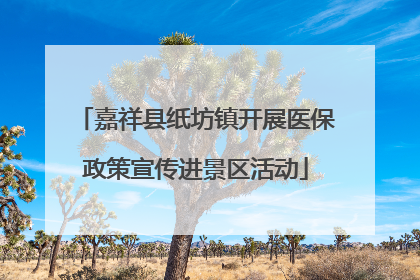嘉祥县纸坊镇开展医保政策宣传进景区活动