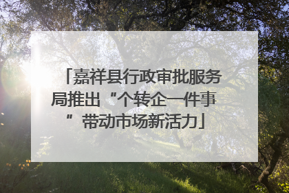 嘉祥县行政审批服务局推出“个转企一件事”带动市场新活力