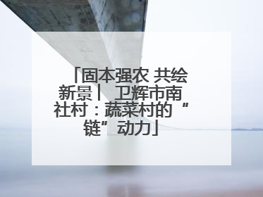 固本强农 共绘新景 ︳卫辉市南社村：蔬菜村的“链”动力