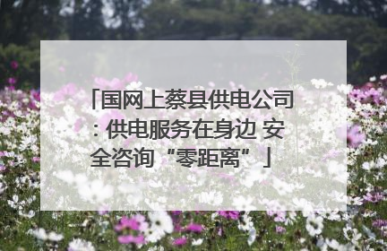 国网上蔡县供电公司：供电服务在身边 安全咨询“零距离”