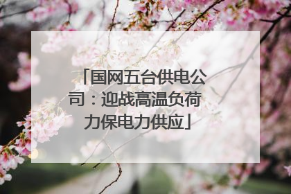 国网五台供电公司：迎战高温负荷 力保电力供应