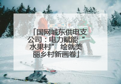国网城东供电支公司：电力赋能“水果村” 绘就美丽乡村新画卷