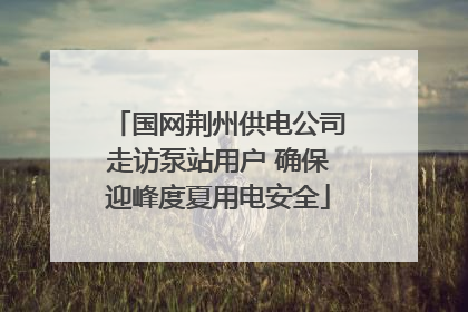 国网荆州供电公司走访泵站用户 确保迎峰度夏用电安全