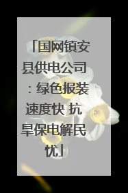 国网镇安县供电公司：绿色报装速度快 抗旱保电解民忧