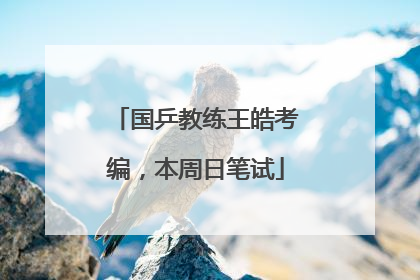 国乒教练王皓考编，本周日笔试