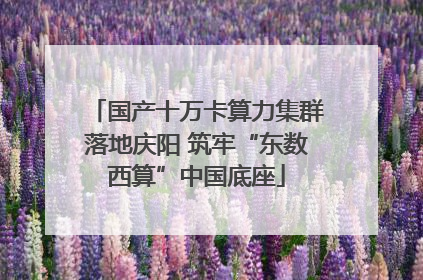 国产十万卡算力集群落地庆阳 筑牢“东数西算”中国底座