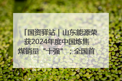国资驿站｜山东能源荣获2024年度中国炼焦煤销量“十强”；全国首例铁路盖上智慧物流园钢结构主体完工