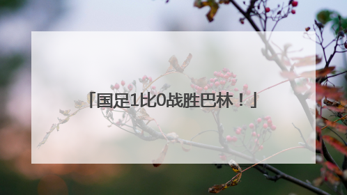国足1比0战胜巴林！