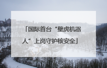 国际首台“壁虎机器人”上岗守护核安全