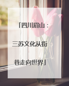 四川眉山：三苏文化从街巷走向世界
